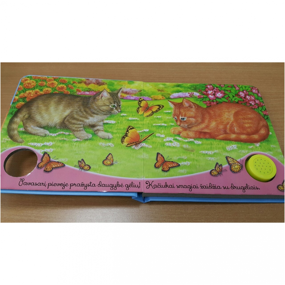 BROKAS!!! Gyvūnų balsai. Kačiukas miaukia miau (neveikia garsai) 4 BROKAS!!! Gyvūnų balsai. Kačiukas miaukia miau (neveikia garsai) 4