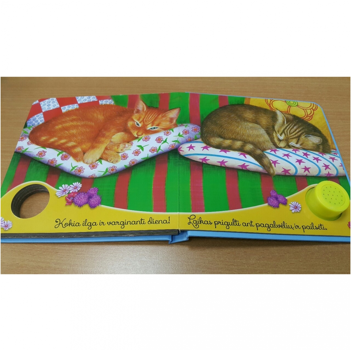 BROKAS!!! Gyvūnų balsai. Kačiukas miaukia miau (neveikia garsai) 5 BROKAS!!! Gyvūnų balsai. Kačiukas miaukia miau (neveikia garsai) 5