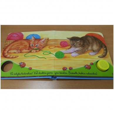 BROKAS!!! Gyvūnų balsai. Kačiukas miaukia miau (neveikia garsai) 2 BROKAS!!! Gyvūnų balsai. Kačiukas miaukia miau (neveikia garsai) 2