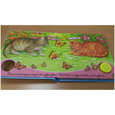 BROKAS!!! Gyvūnų balsai. Kačiukas miaukia miau (neveikia garsai) 4 BROKAS!!! Gyvūnų balsai. Kačiukas miaukia miau (neveikia garsai) 4