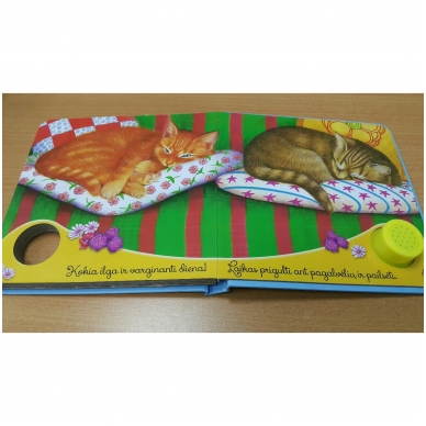 BROKAS!!! Gyvūnų balsai. Kačiukas miaukia miau (neveikia garsai) 5 BROKAS!!! Gyvūnų balsai. Kačiukas miaukia miau (neveikia garsai) 5