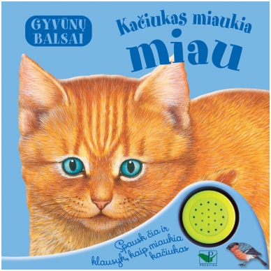 BROKAS!!! Gyvūnų balsai. Kačiukas miaukia miau (neveikia garsai) BROKAS!!! Gyvūnų balsai. Kačiukas miaukia miau (neveikia garsai)