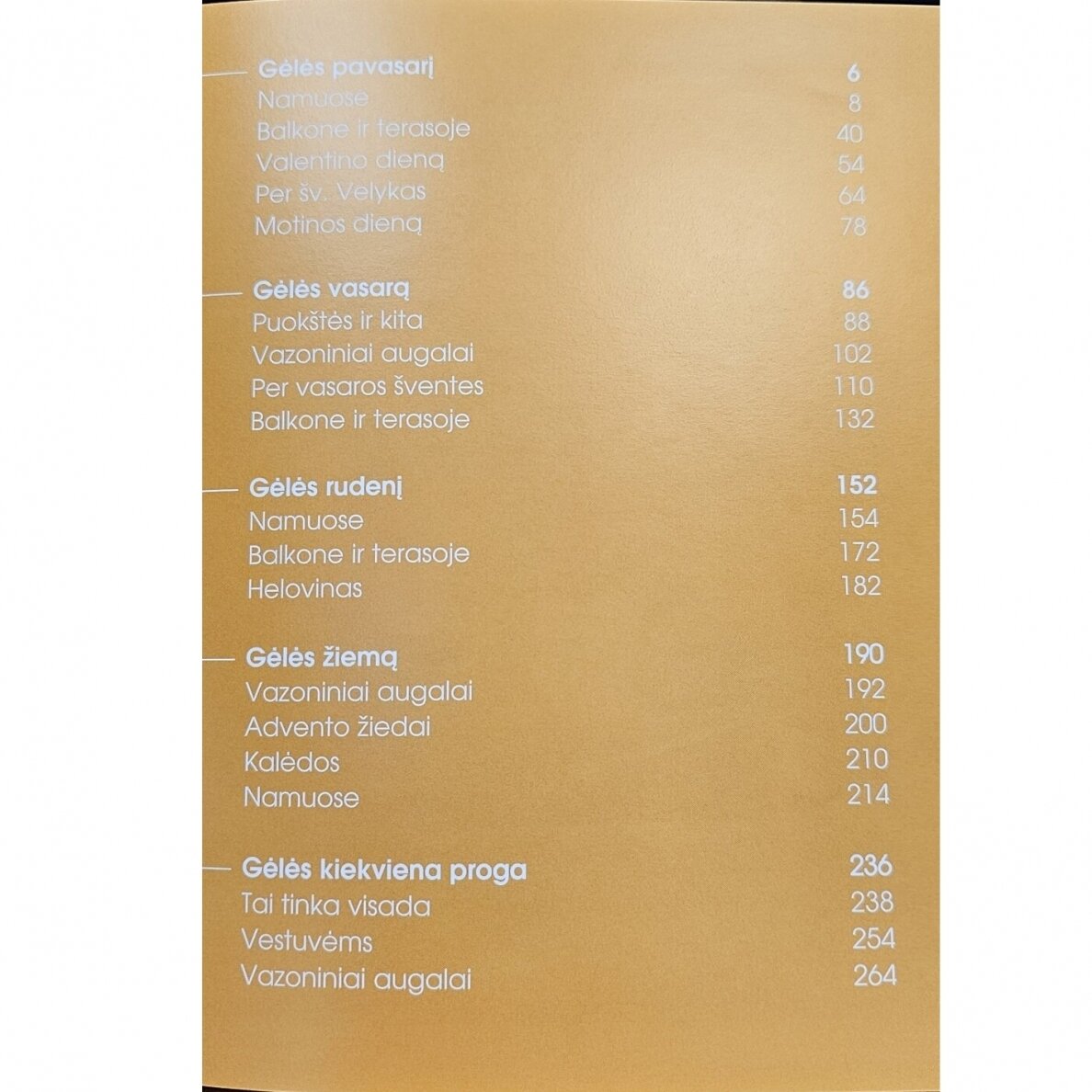 555 dekoravimo augalais idėjos (minimalūs trūkumai) 8 555 dekoravimo augalais idėjos (minimalūs trūkumai) 8