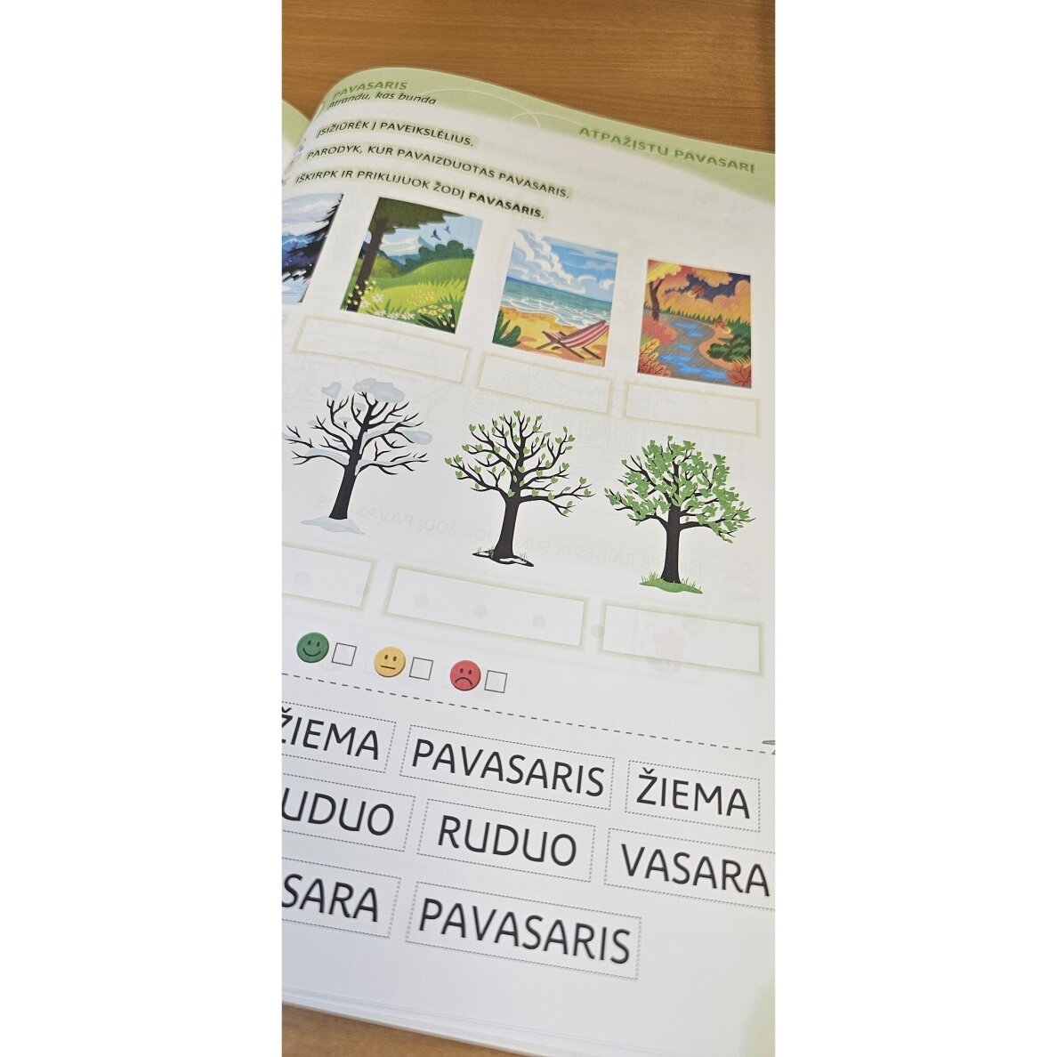 Metų laikai. Integruotos pažintinės ir kalbinės užduotys. Jurga Klimkienė 4