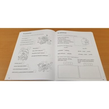 Netrukus į mokyklą. Lietuvių kalba, matematika, logika. 5-6 metų vaikams