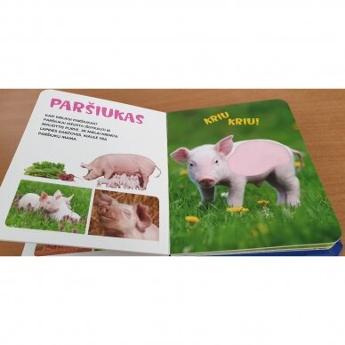 BROKAS!!! Paglostyk mažylį. Su liečiamaisiais paviršiais (iš grąžinimų) 5 BROKAS!!! Paglostyk mažylį. Su liečiamaisiais paviršiais (iš grąžinimų) 5