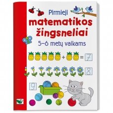 Pirmieji matematikos žingsneliai 5-6 metų vaikams  (iš grąžinimų, atvirkščiai įsegtos)